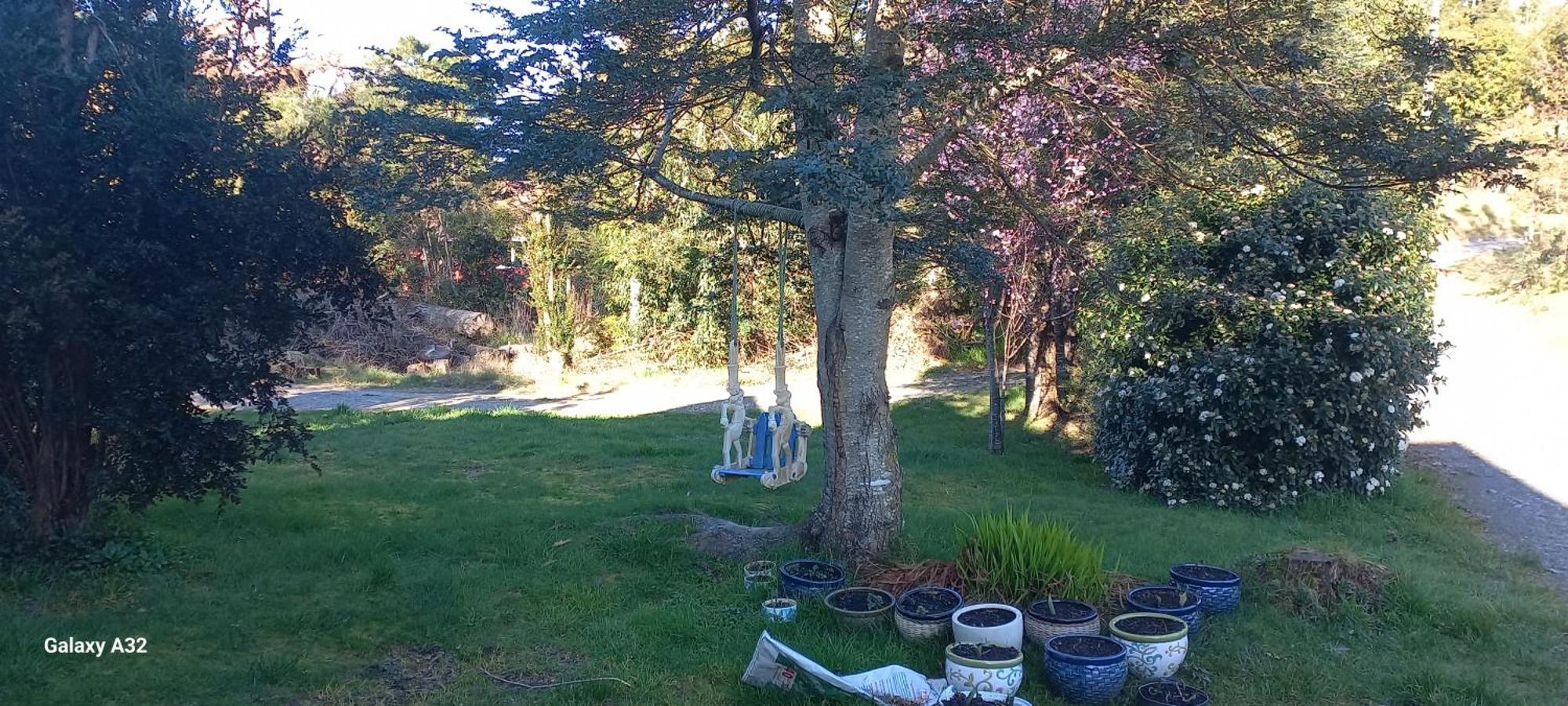 Cabanas Y Hostal Tepual Puerto Montt Dış mekan fotoğraf