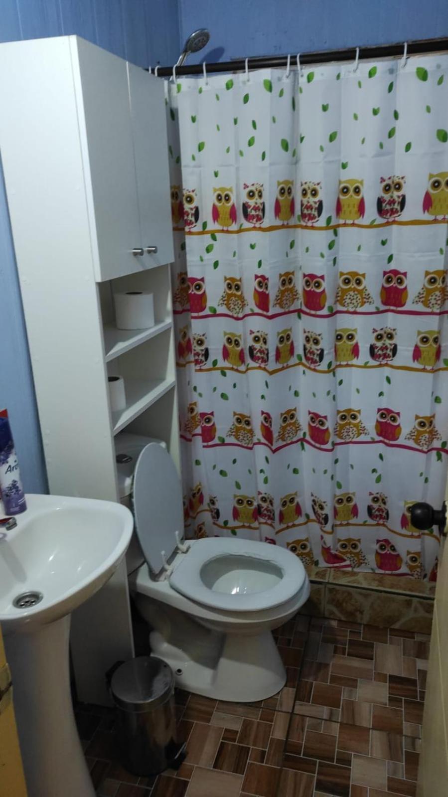 Cabanas Y Hostal Tepual Puerto Montt Dış mekan fotoğraf